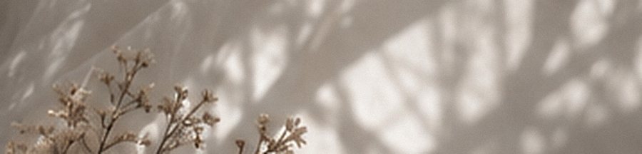 ドライフラワーと柔らかな影
